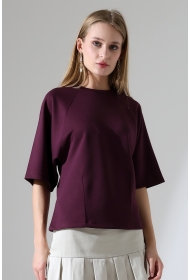 22152  KADIN SALAŞ REGLAN YARIM KOL ÖN VE ARKA BEDEN DİKEY PENSLİ BİSİKLET YAKA DOUBLEFACE YUMUŞAK DOKU  TSHIRT 